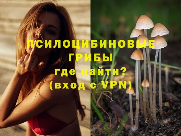ГАЛЛЮЦИНОГЕННЫЕ ГРИБЫ Балабаново