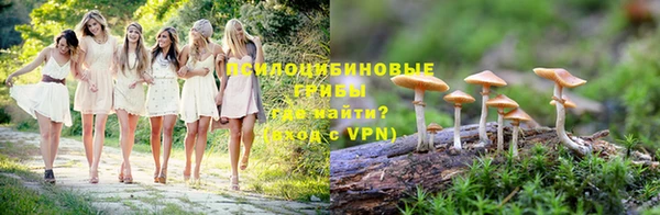 ГАЛЛЮЦИНОГЕННЫЕ ГРИБЫ Балабаново